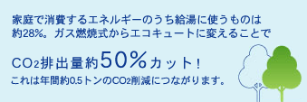 CO2roʖ50%JbgI@͔NԖ0.5gCO2팸ɂȂ܂B