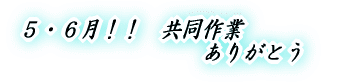 _ƁII@N[ 